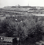 1954 год